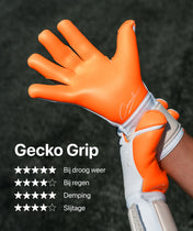 Beast 3.0 x Sergej.gk